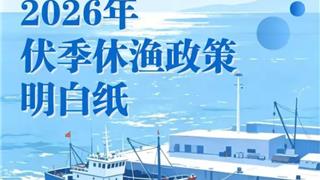 5月8日起！这几类海鲜禁止销售！