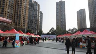 青春新龙港 争锋助共富 龙港举办“浙青年·学雷锋”志愿服务公益市集