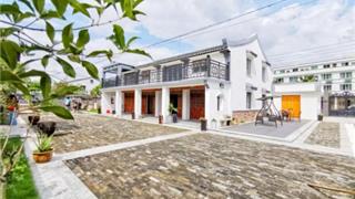 小庭院激活大能量！龙港探索“庭院主理人”模式