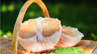 马站四季柚，开摘！错过等一年！~