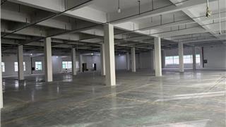 生产线搬进展厅！龙港这座“工厂式”印包智能设备超市即将亮相