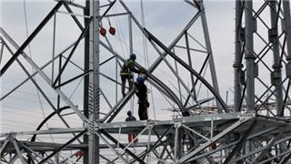 龙港又一重点工程，正式投运！