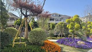 从“边角料”到“幸福角”！龙港方寸绿地兜起满满民生幸福